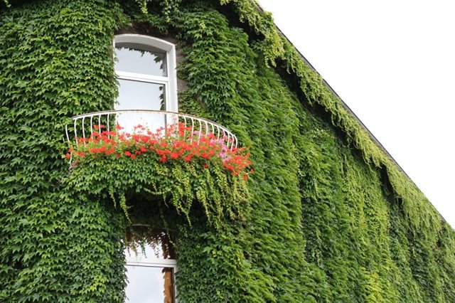 Voorbeeld van een plantengevel of verticale tuin