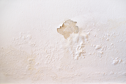 peeling paint or peeling wallpaper